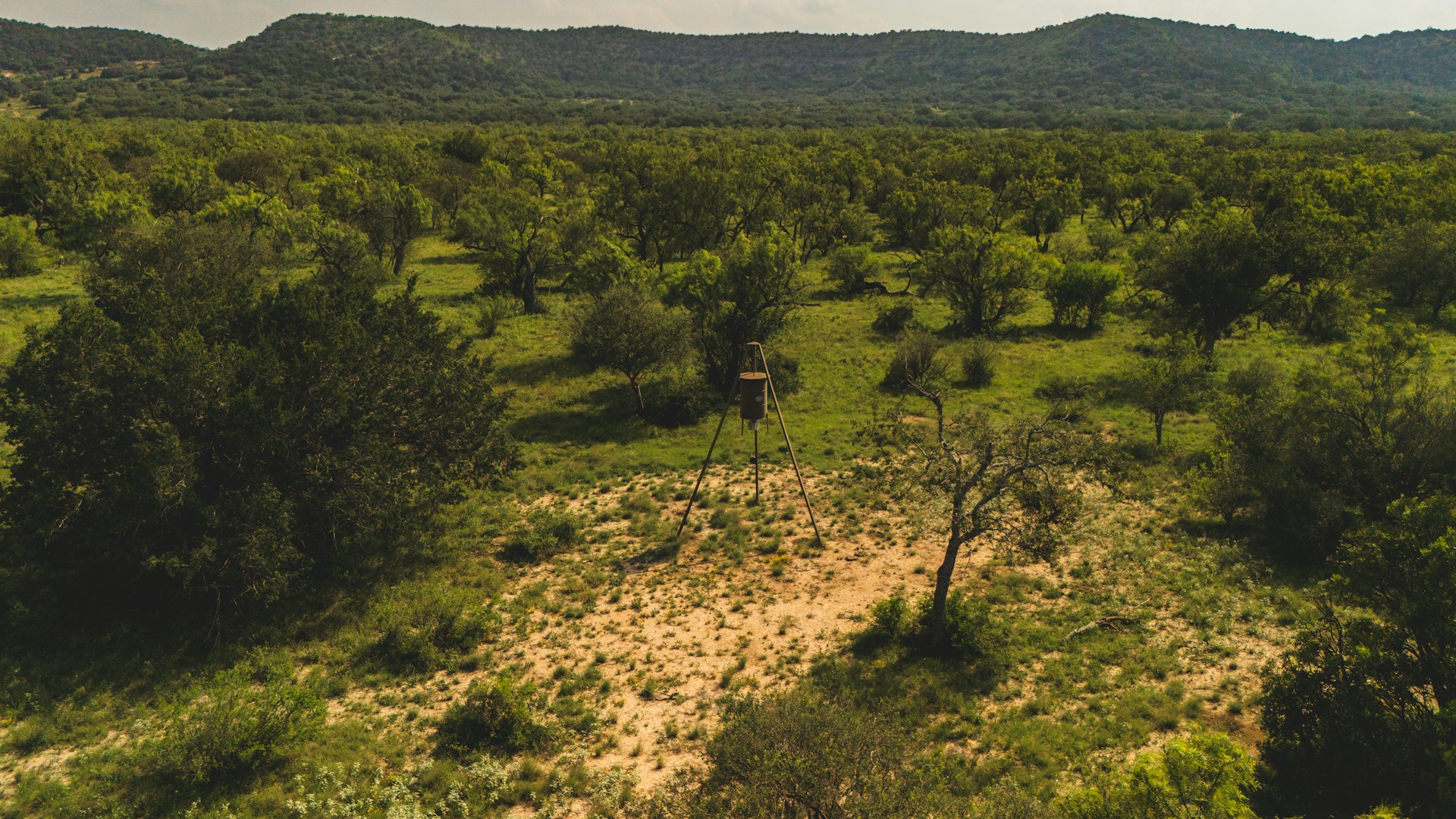 33309 Texas 55 Uvalde TX 78801
