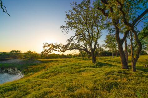 112 Majestic Oaks Drive Boerne TX 78006