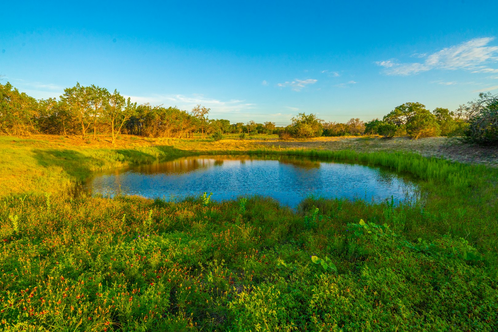 112 Majestic Oaks Drive Boerne TX 78006