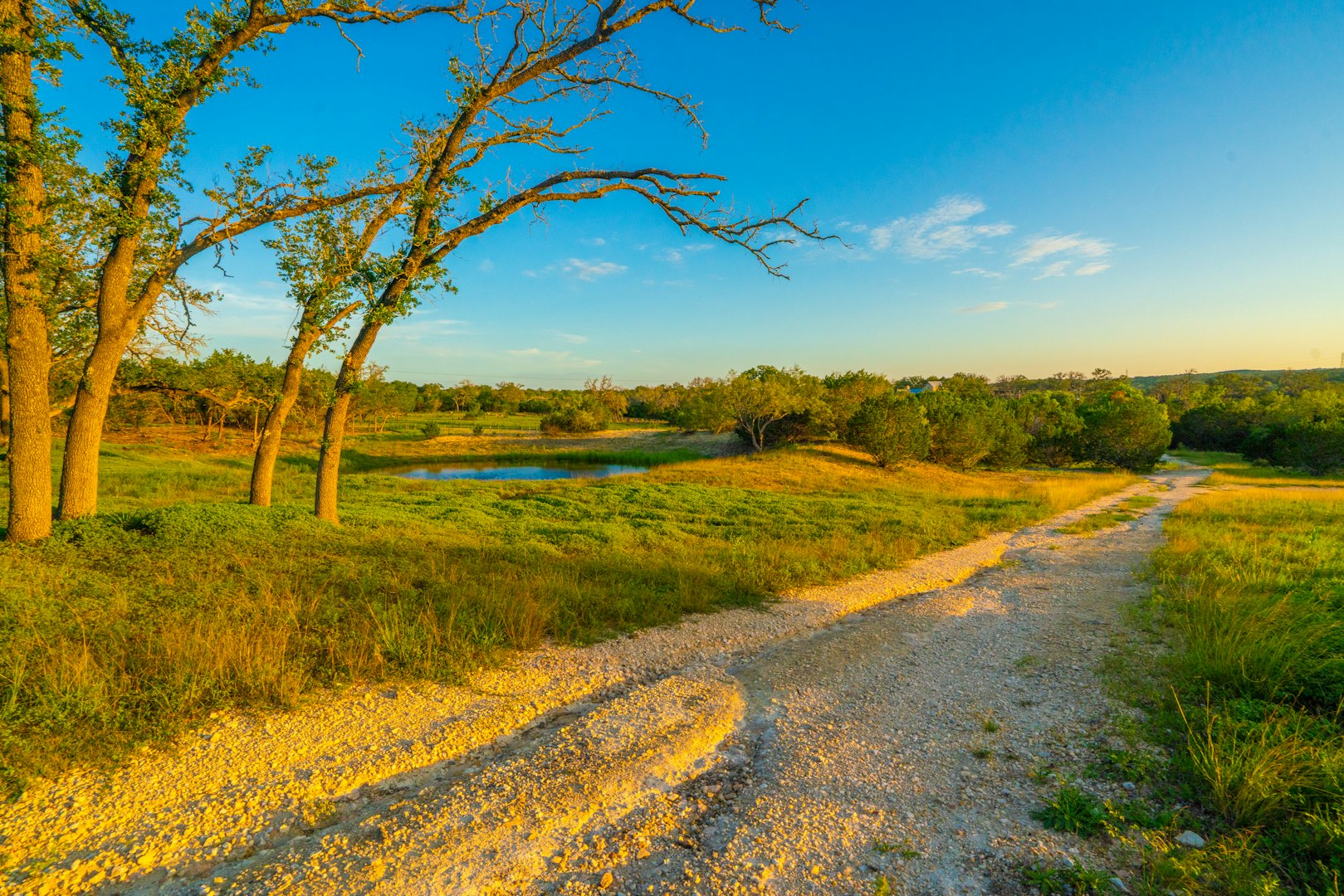 112 Majestic Oaks Drive Boerne TX 78006