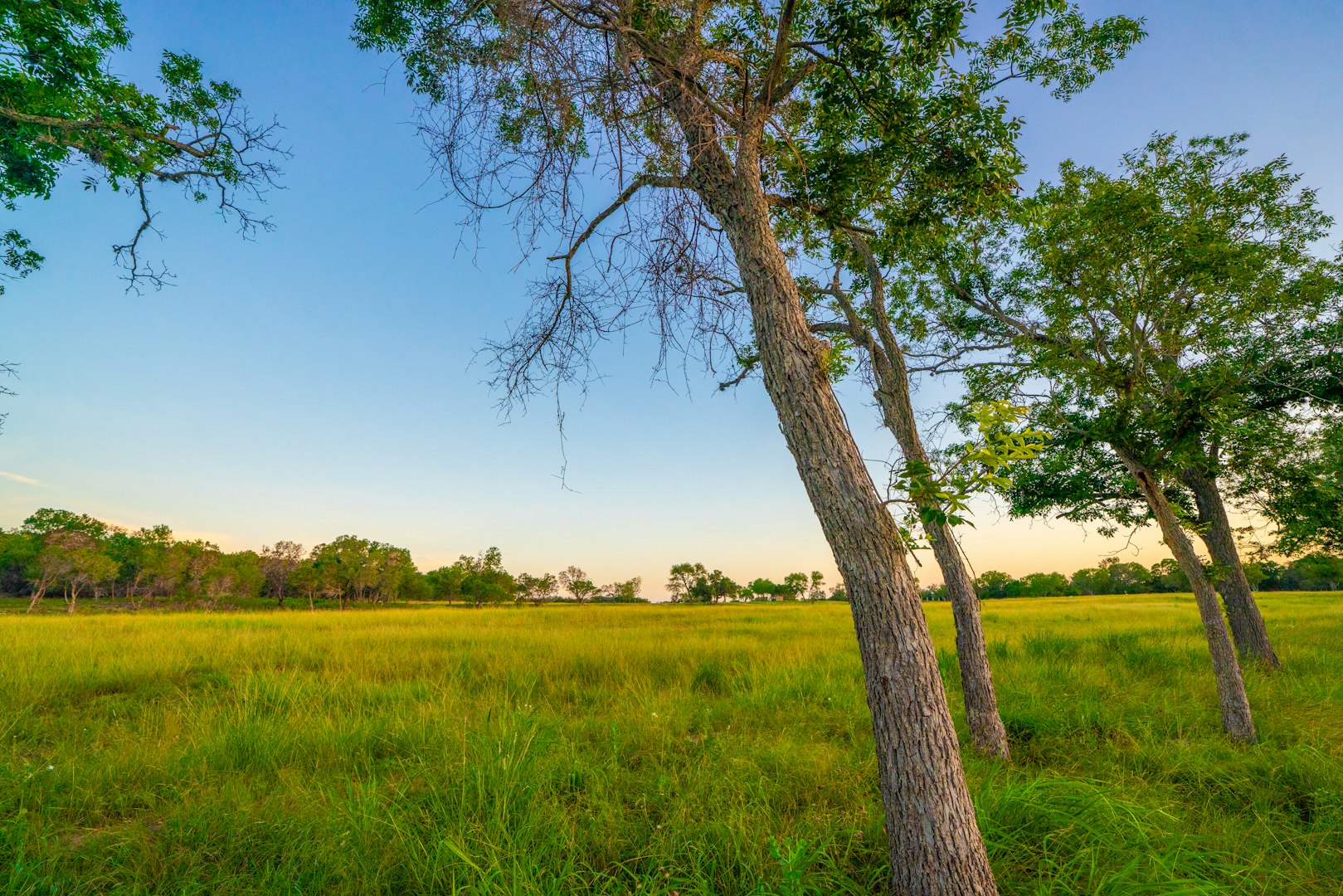 112 Majestic Oaks Drive Boerne TX 78006