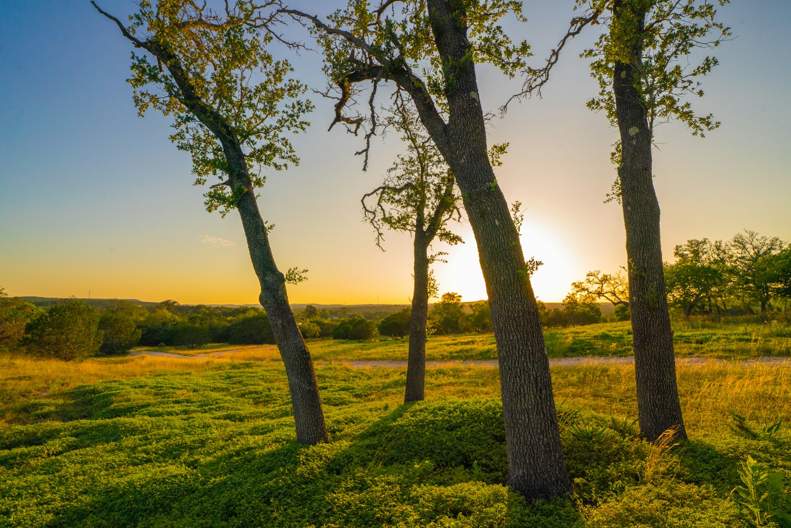 112 Majestic Oaks Drive Boerne TX 78006