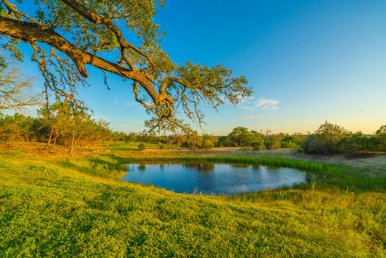 112 Majestic Oaks Drive Boerne TX 78006