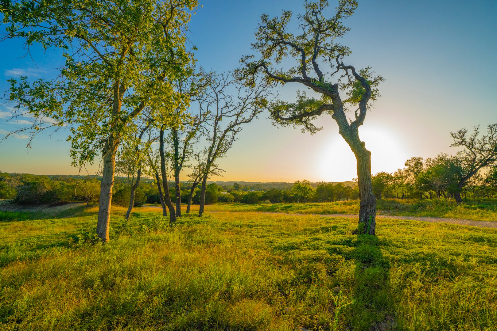 112 Majestic Oaks Drive Boerne TX 78006