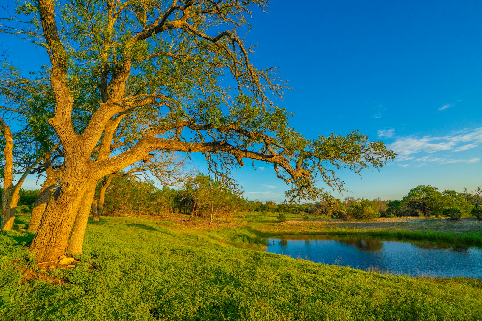 112 Majestic Oaks Drive Boerne TX 78006