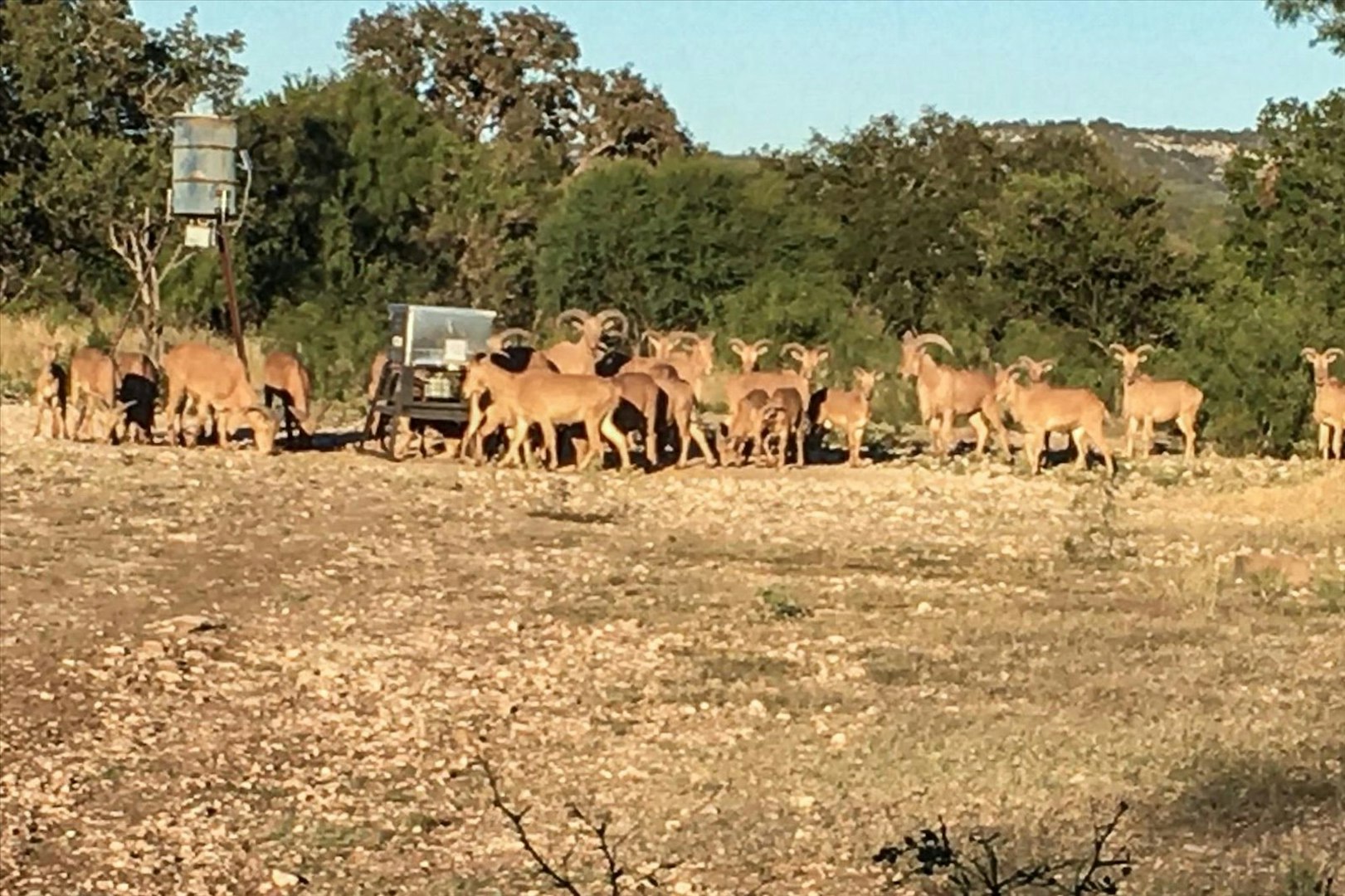 15689 Ranch Road 337 Camp Wood TX 78833