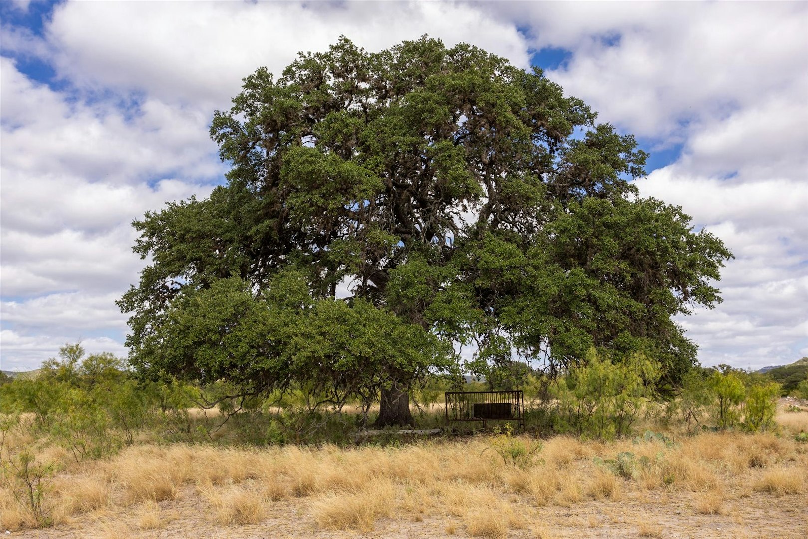 15689 Ranch Road 337 Camp Wood TX 78833