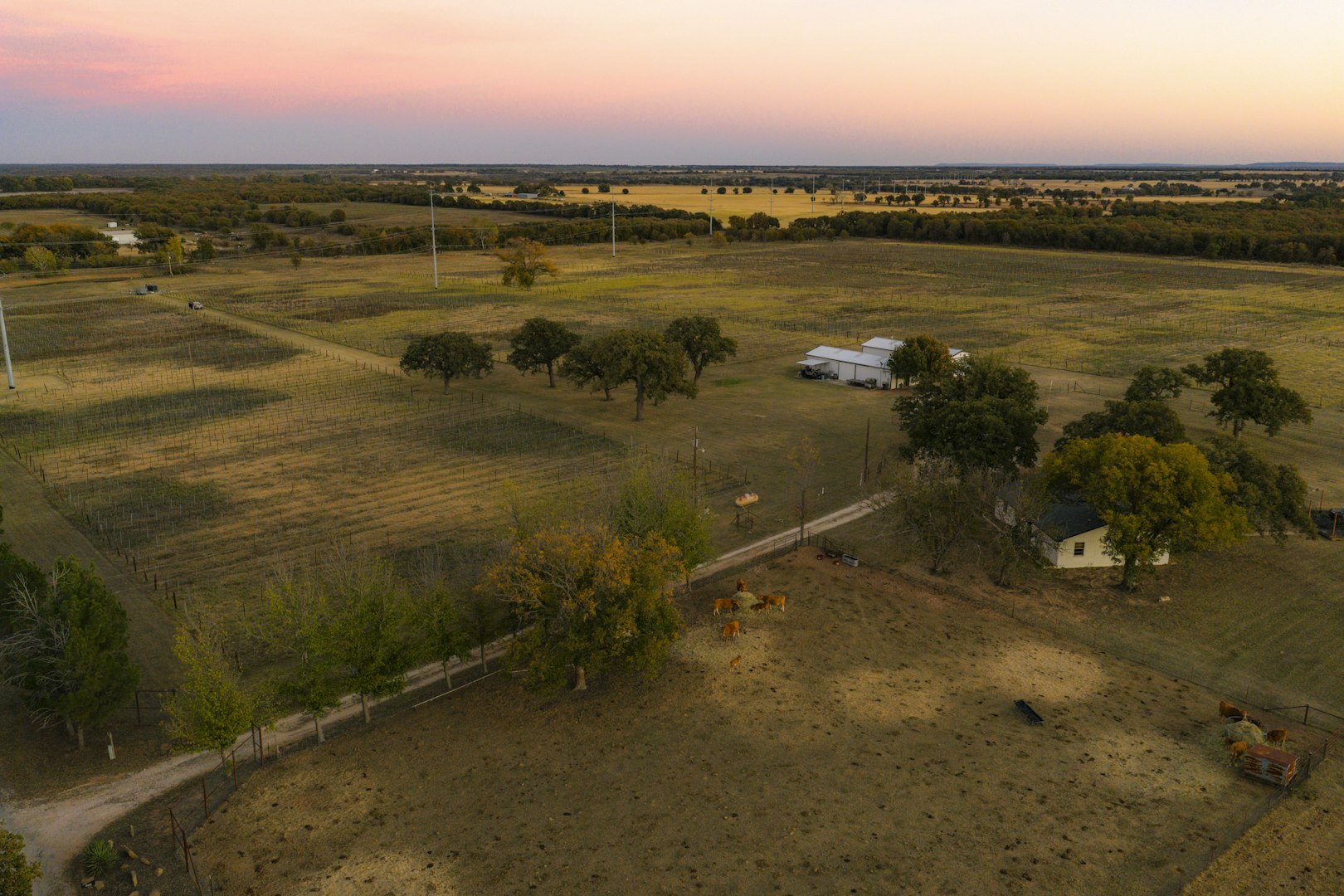 1001 County Road 290 Rising Star TX 76471
