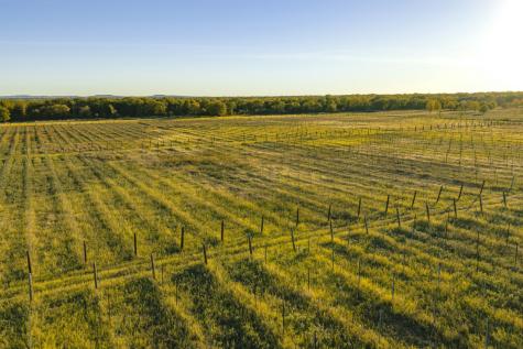 1001 County Road 290 Rising Star TX 76471