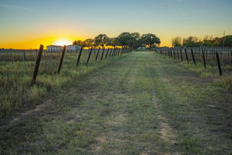 1001 County Road 290 Rising Star TX 76471