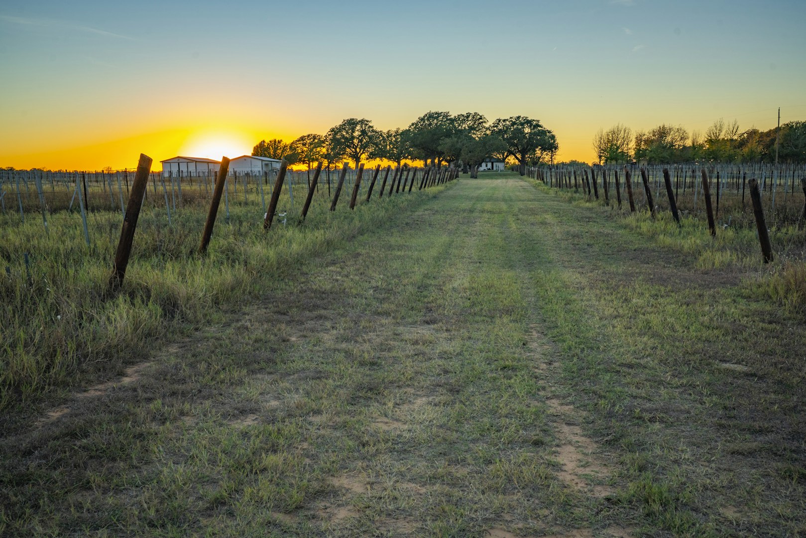 1001 County Road 290 Rising Star TX 76471