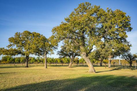 1001 County Road 290 Rising Star TX 76471