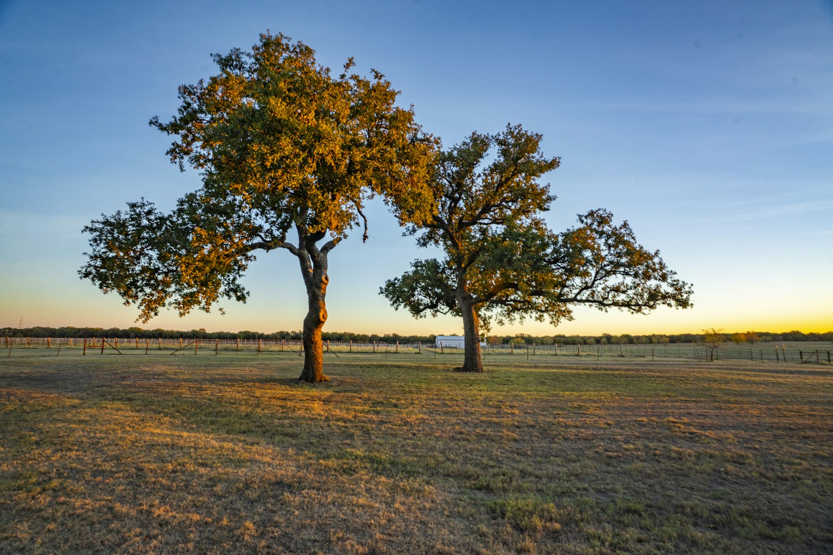 1001 County Road 290 Rising Star TX 76471