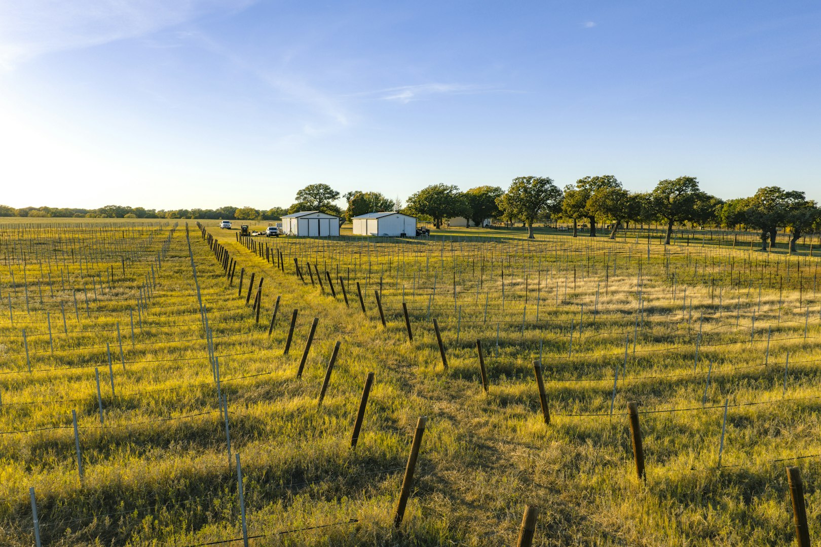 1001 County Road 290 Rising Star TX 76471