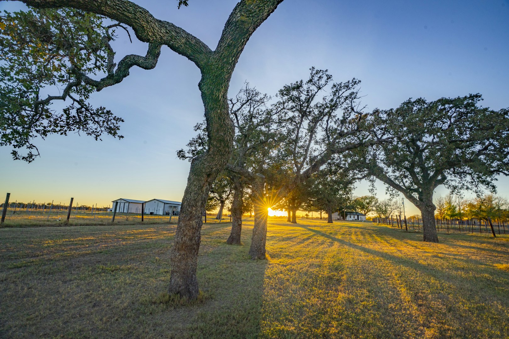1001 County Road 290 Rising Star TX 76471