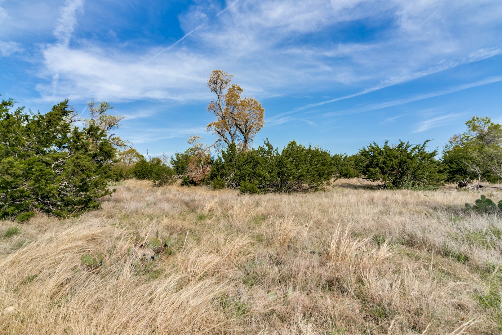 7991 Ranch Road 965 Fredericksburg TX 78624