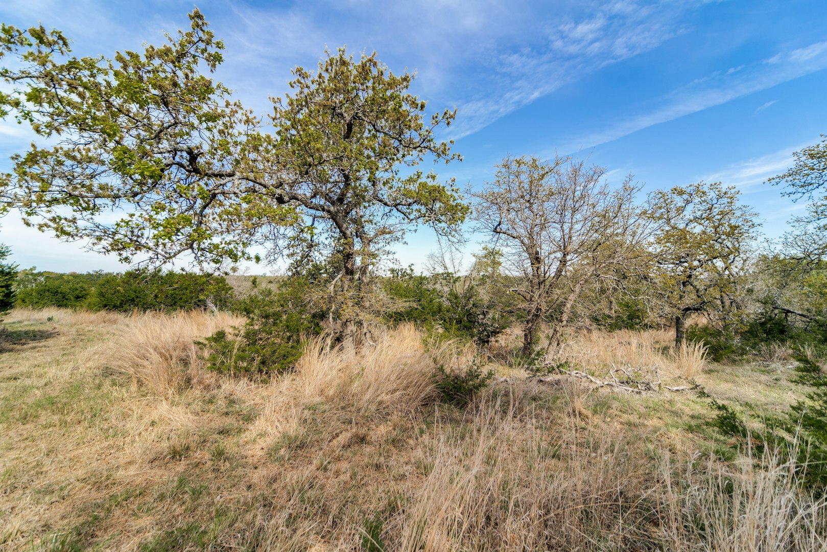 7991 Ranch Road 965 Fredericksburg TX 78624