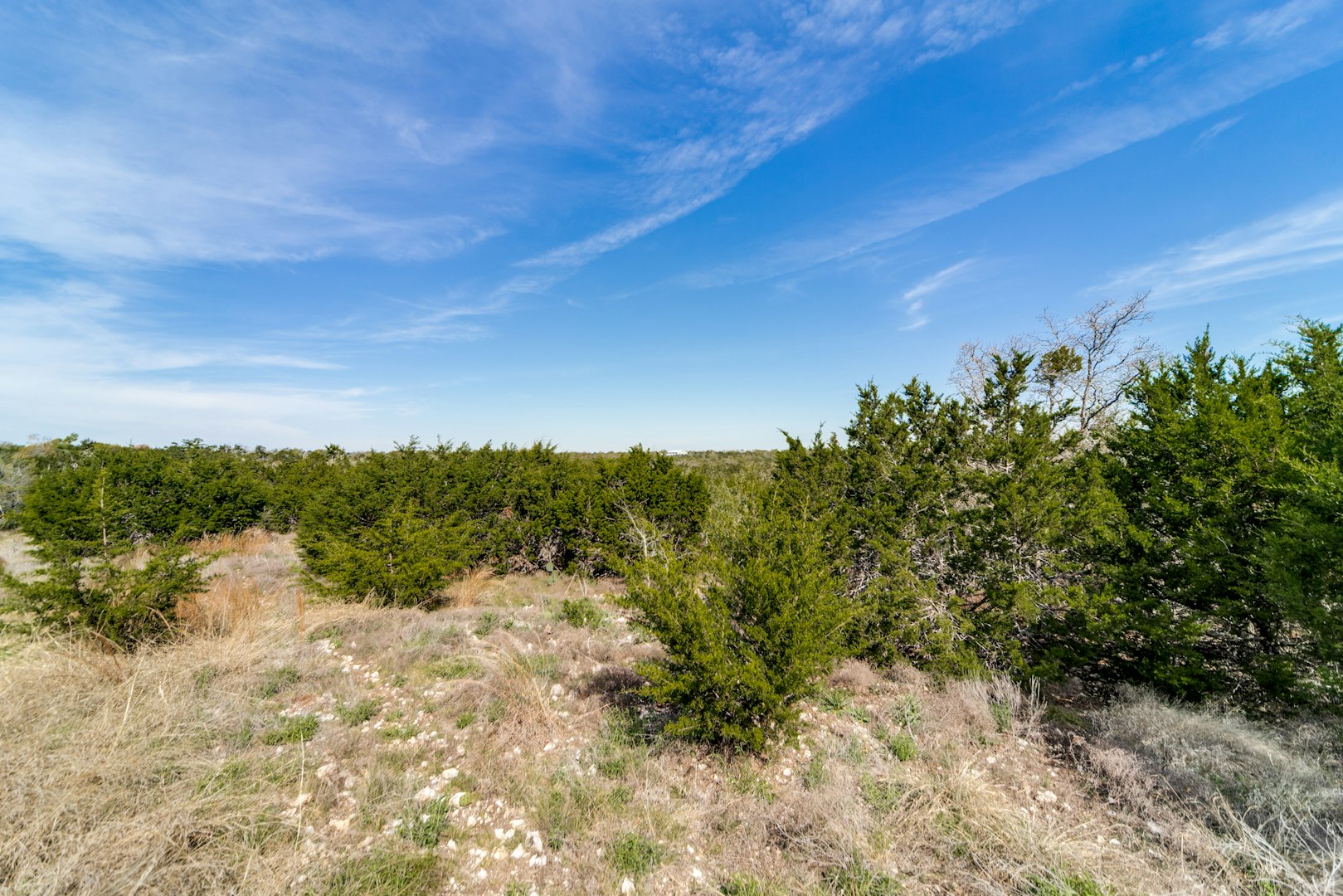 7991 Ranch Road 965 Fredericksburg TX 78624