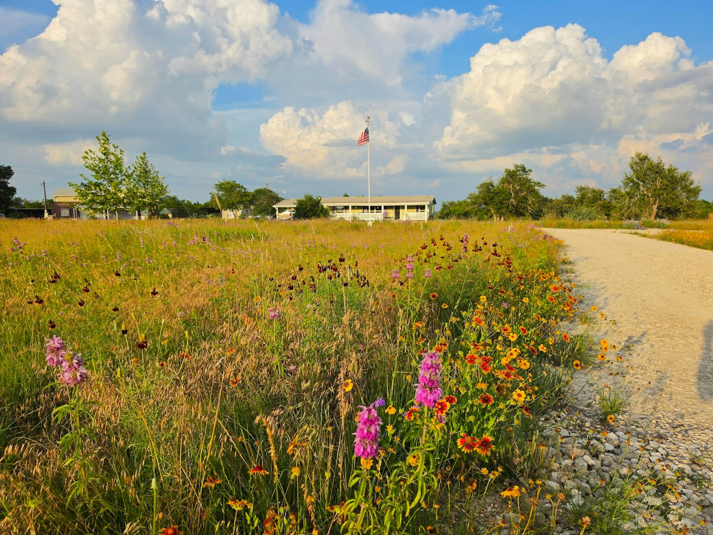 7991 Ranch Road 965 Fredericksburg TX 78624