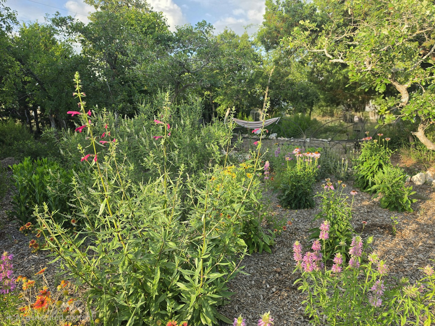7991 Ranch Road 965 Fredericksburg TX 78624