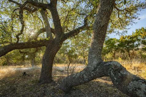 0000 Tbd Floyd Van Hoozer Road West Kerrville TX 78028