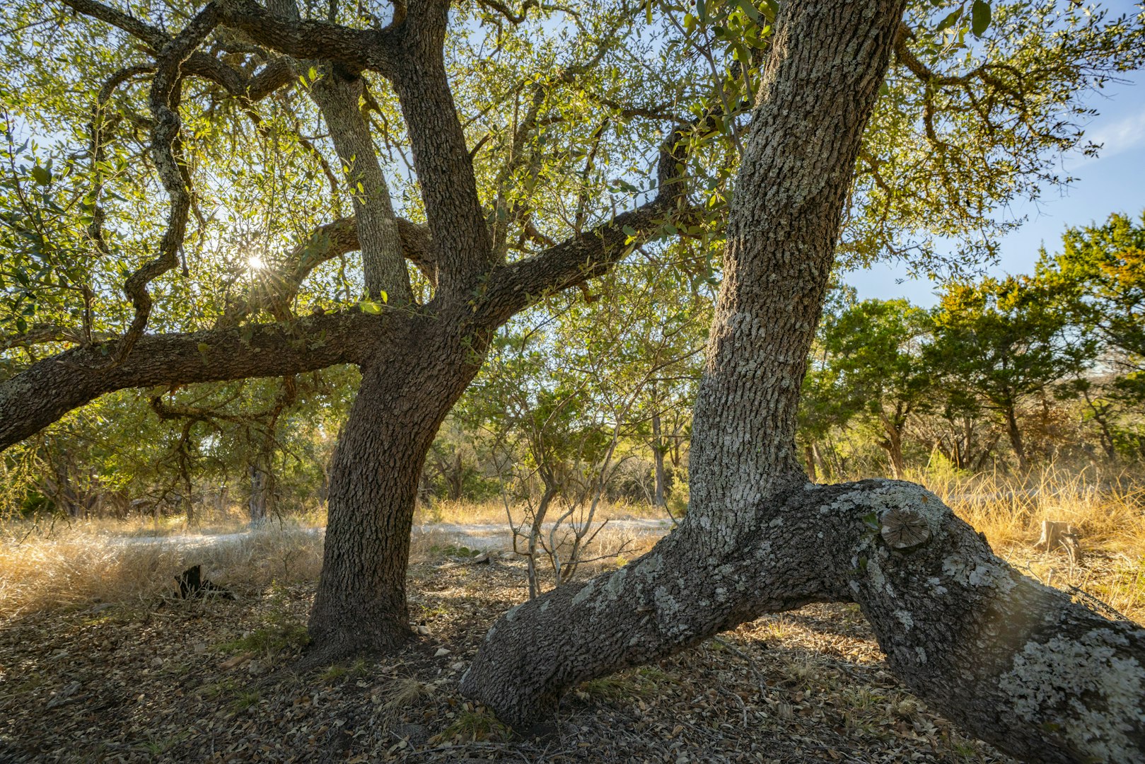 0000 Tbd Floyd Van Hoozer Road West Kerrville TX 78028