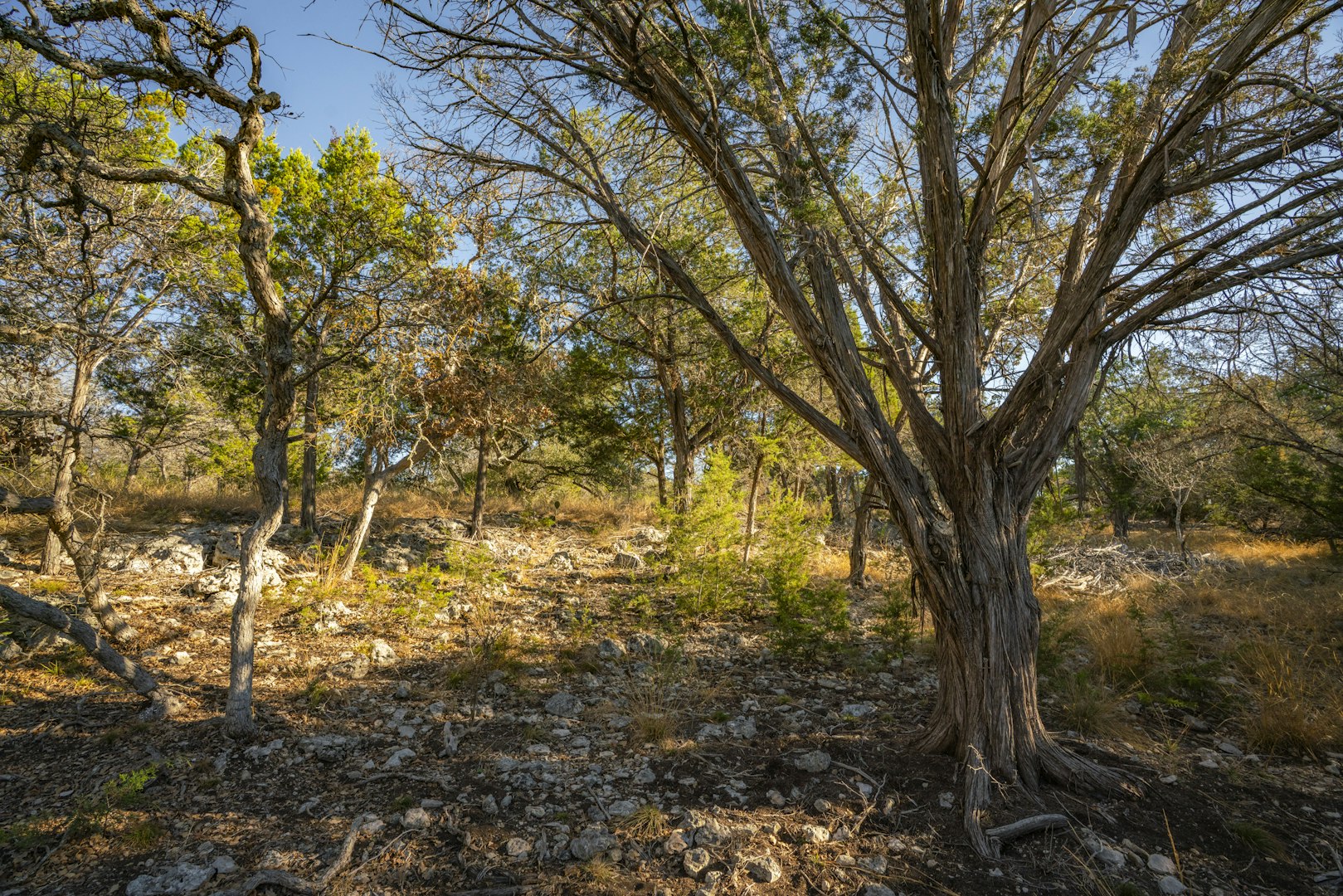 0000 Tbd Floyd Van Hoozer Road West Kerrville TX 78028