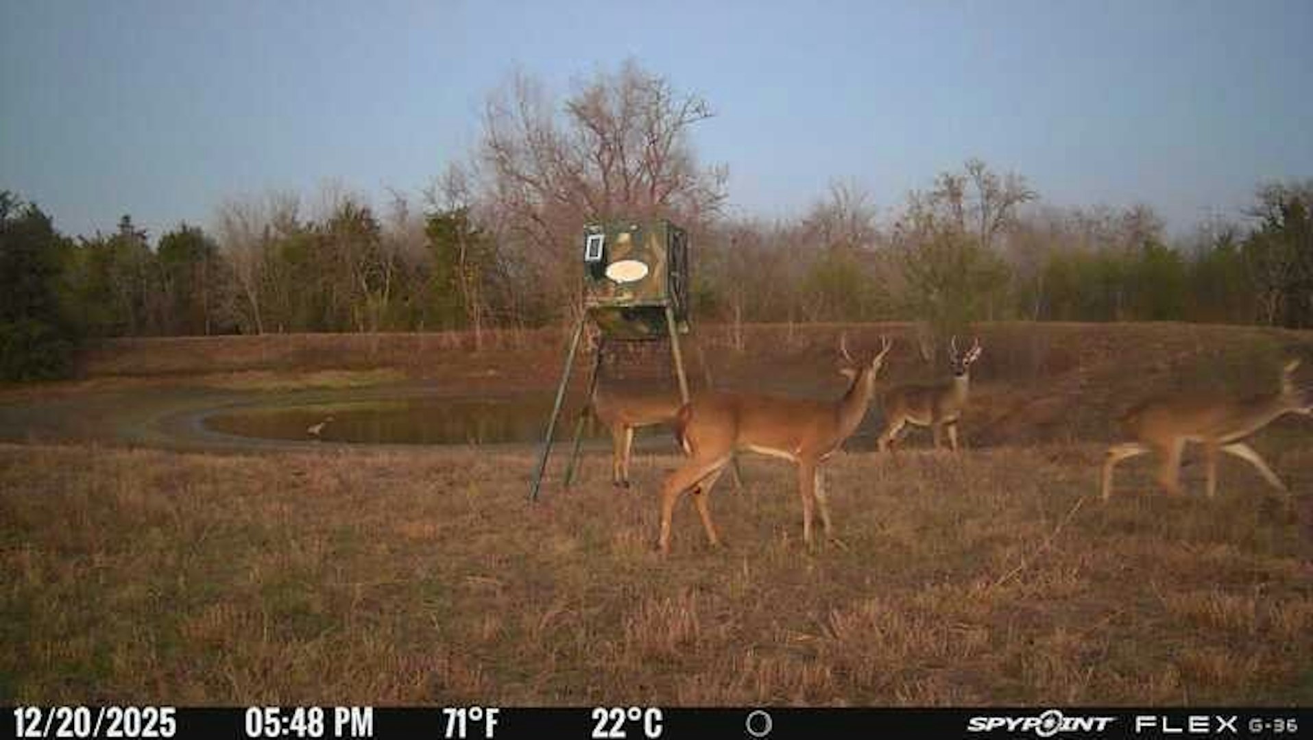 3424 Post Oak Point Road New Ulm TX 78950
