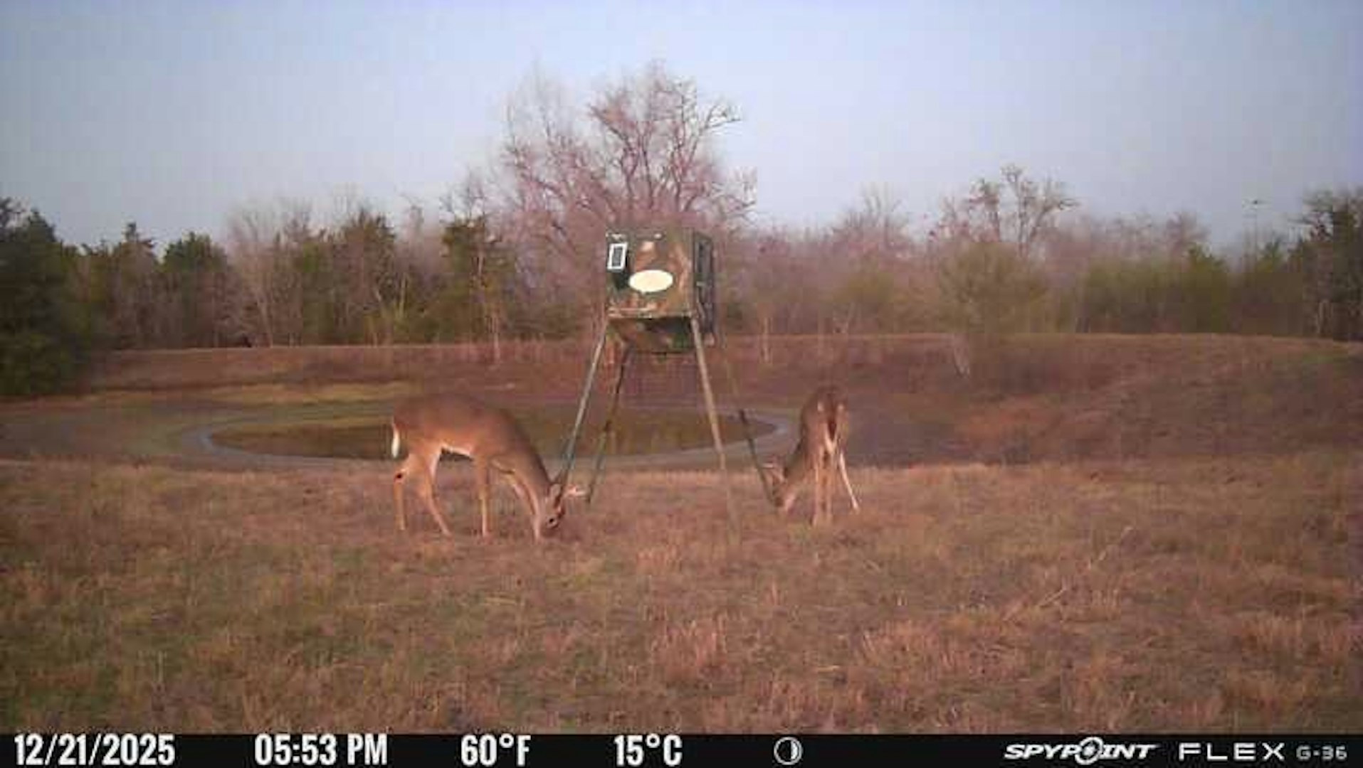 3424 Post Oak Point Road New Ulm TX 78950