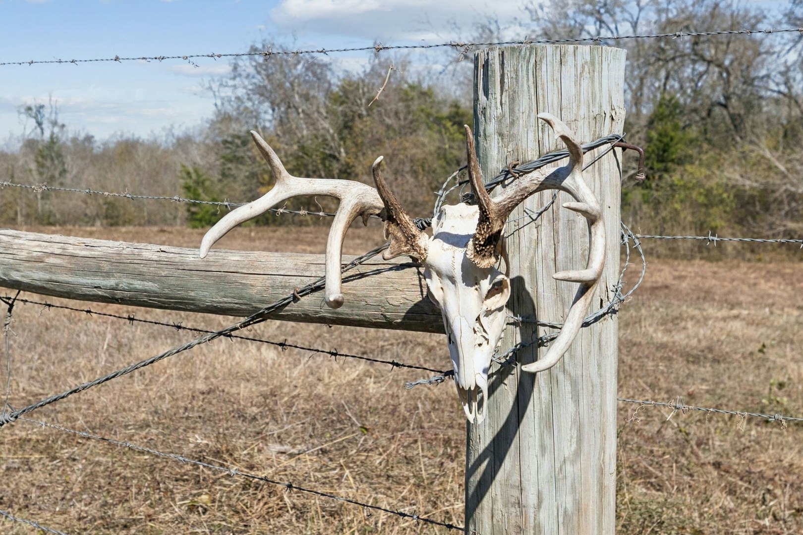 3424 Post Oak Point Road New Ulm TX 78950