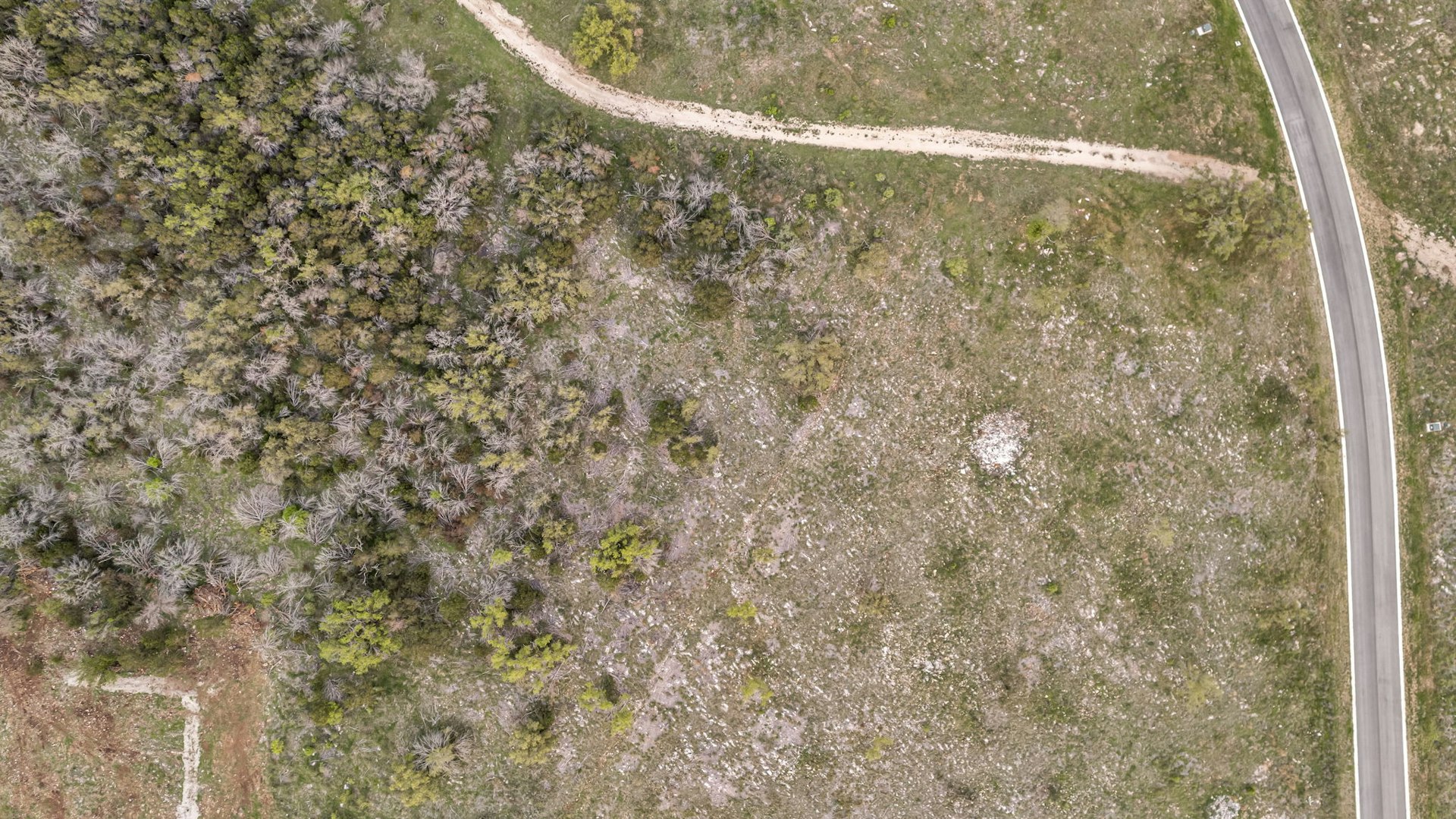 0000 Lot 169 Tbd Westridge Way Kingsland TX 78639