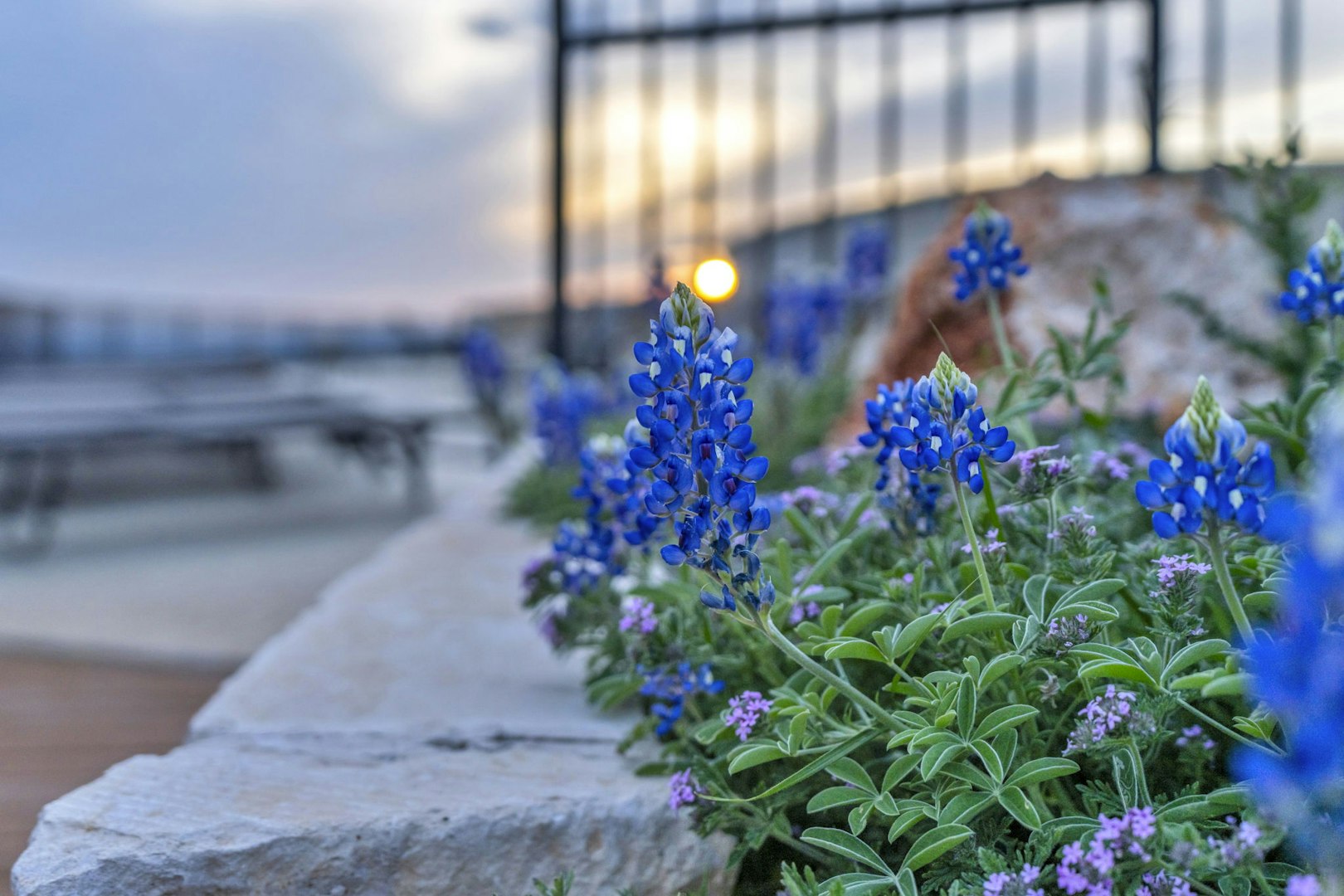 0000 Lot 169 Tbd Westridge Way Kingsland TX 78639