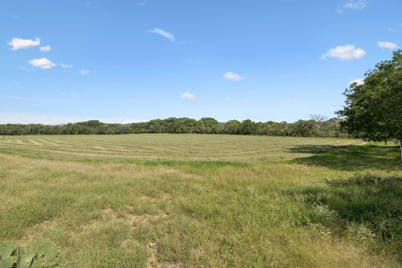 1078 Fm 480 Center Point TX 78010