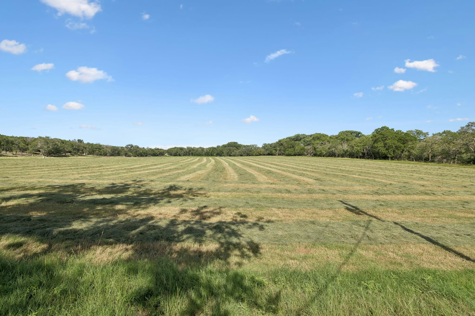 1078 Fm 480 Center Point TX 78010