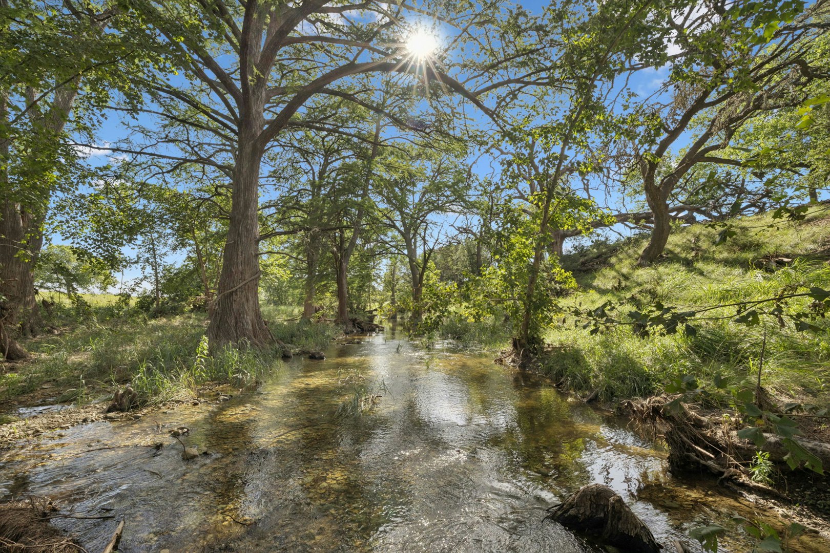 1078 Fm 480 Center Point TX 78010