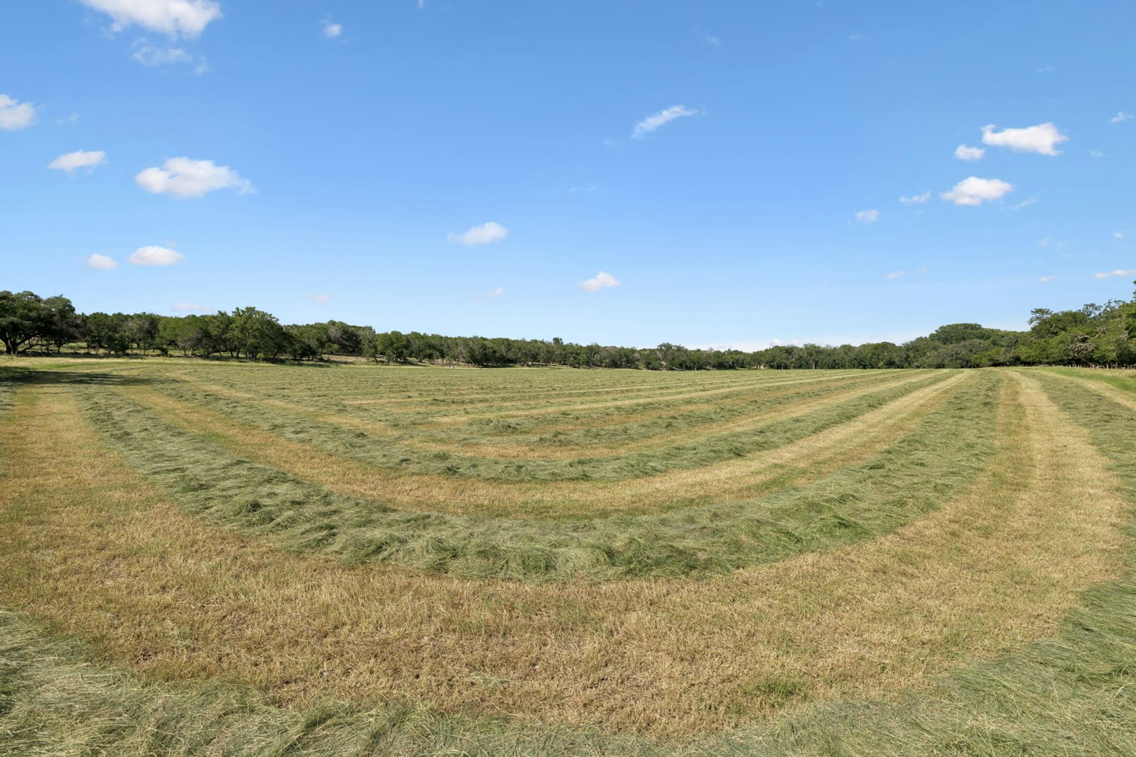 1078 Fm 480 Center Point TX 78010