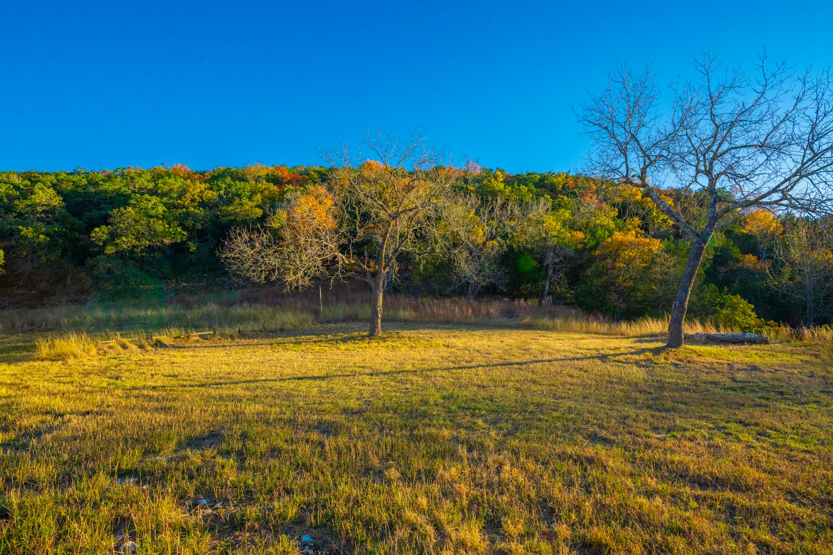 103 Bella Springs Boerne TX 78006