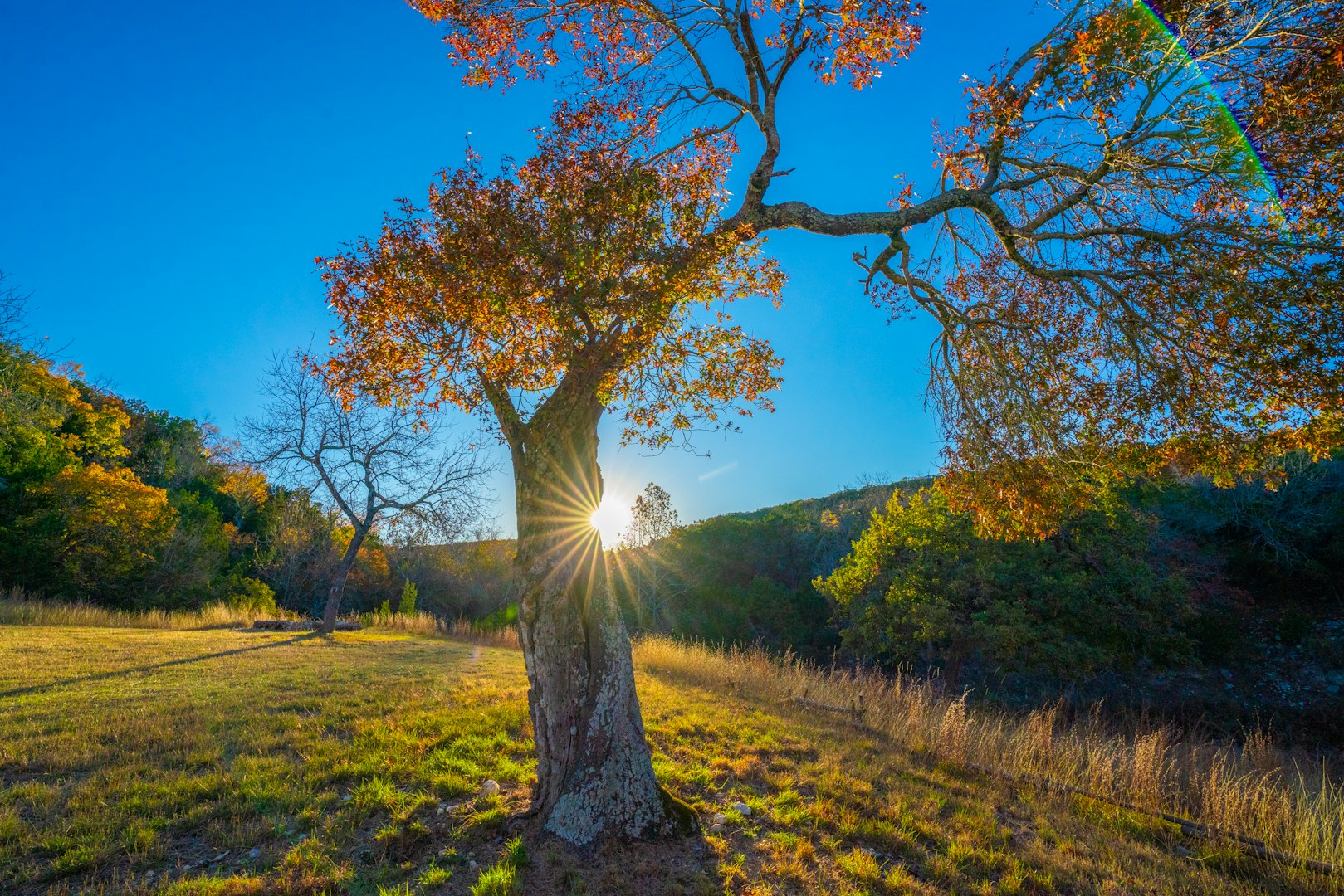 103 Bella Springs Boerne TX 78006