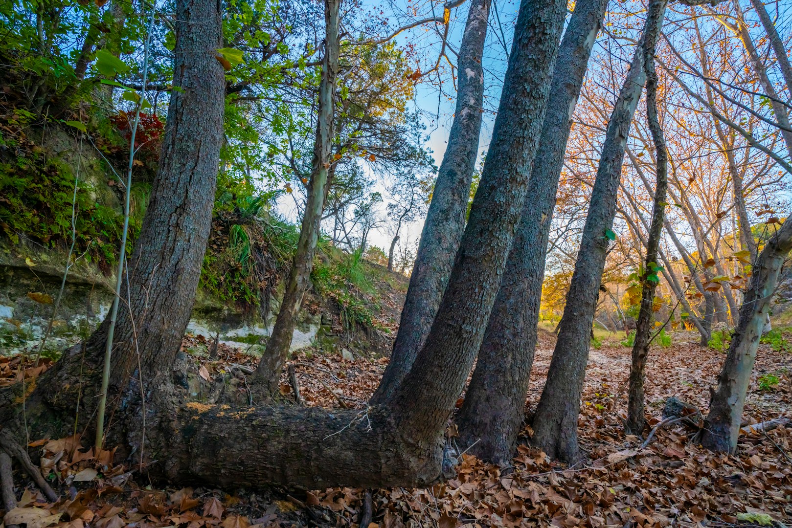 103 Bella Springs Boerne TX 78006