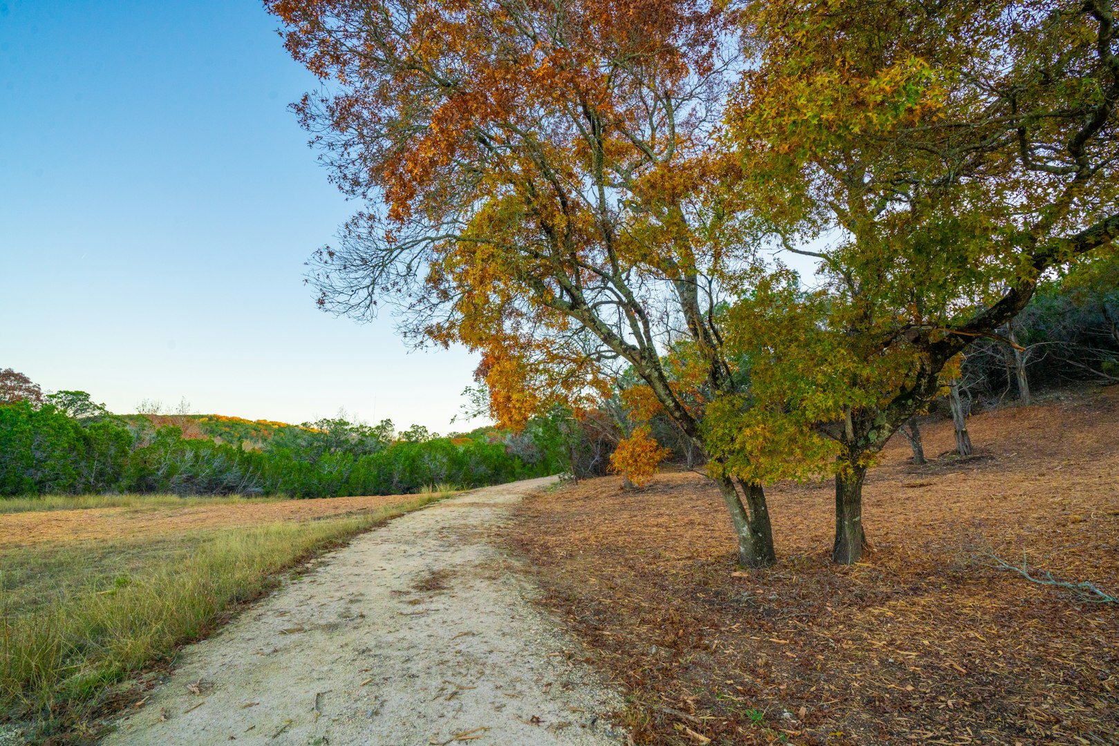 103 Bella Springs Boerne TX 78006