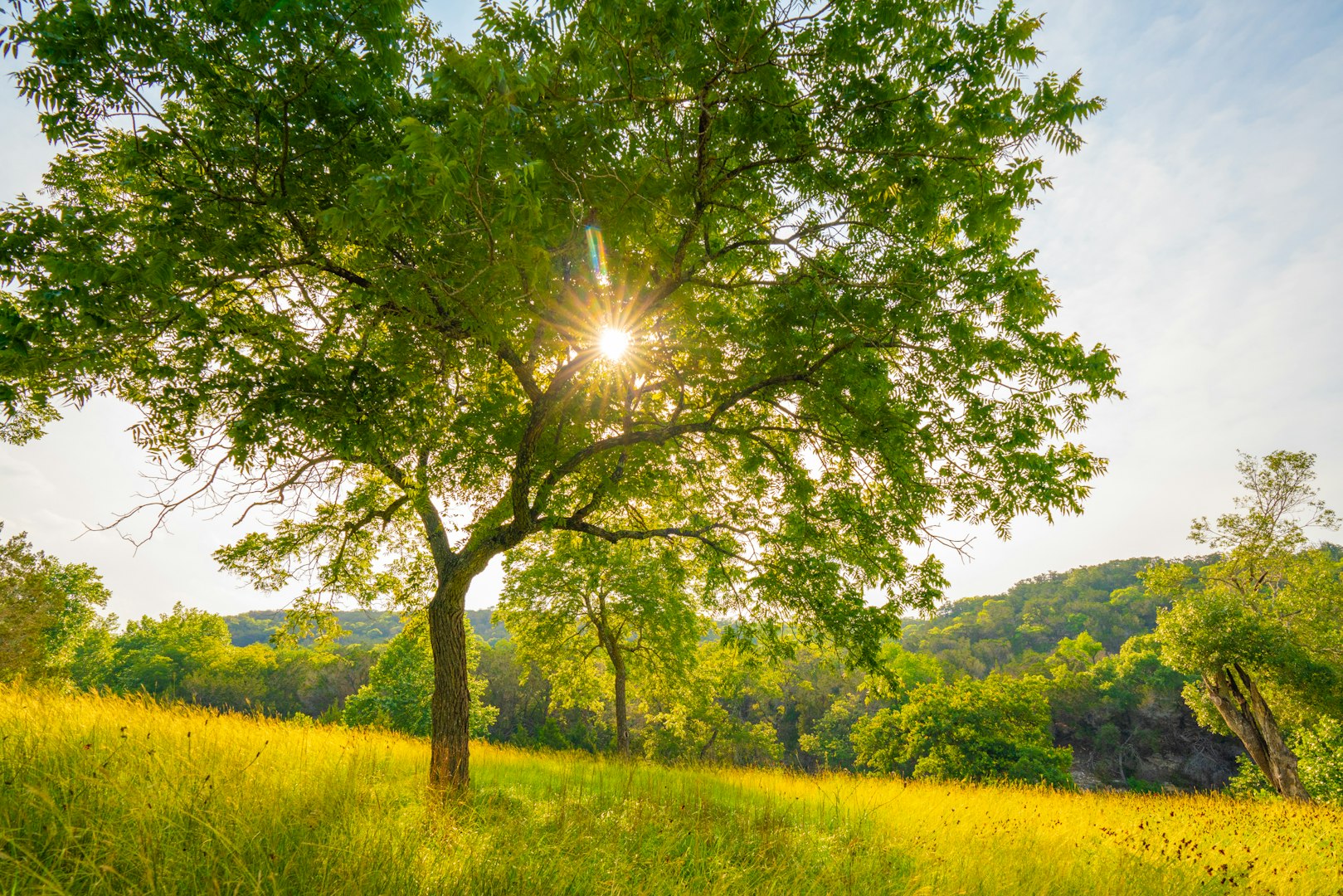 103 Bella Springs Boerne TX 78006