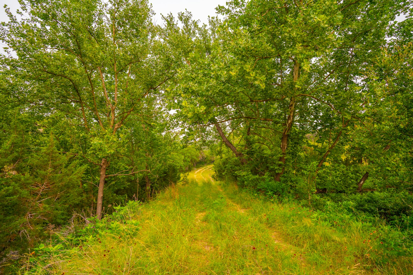 103 Bella Springs Boerne TX 78006