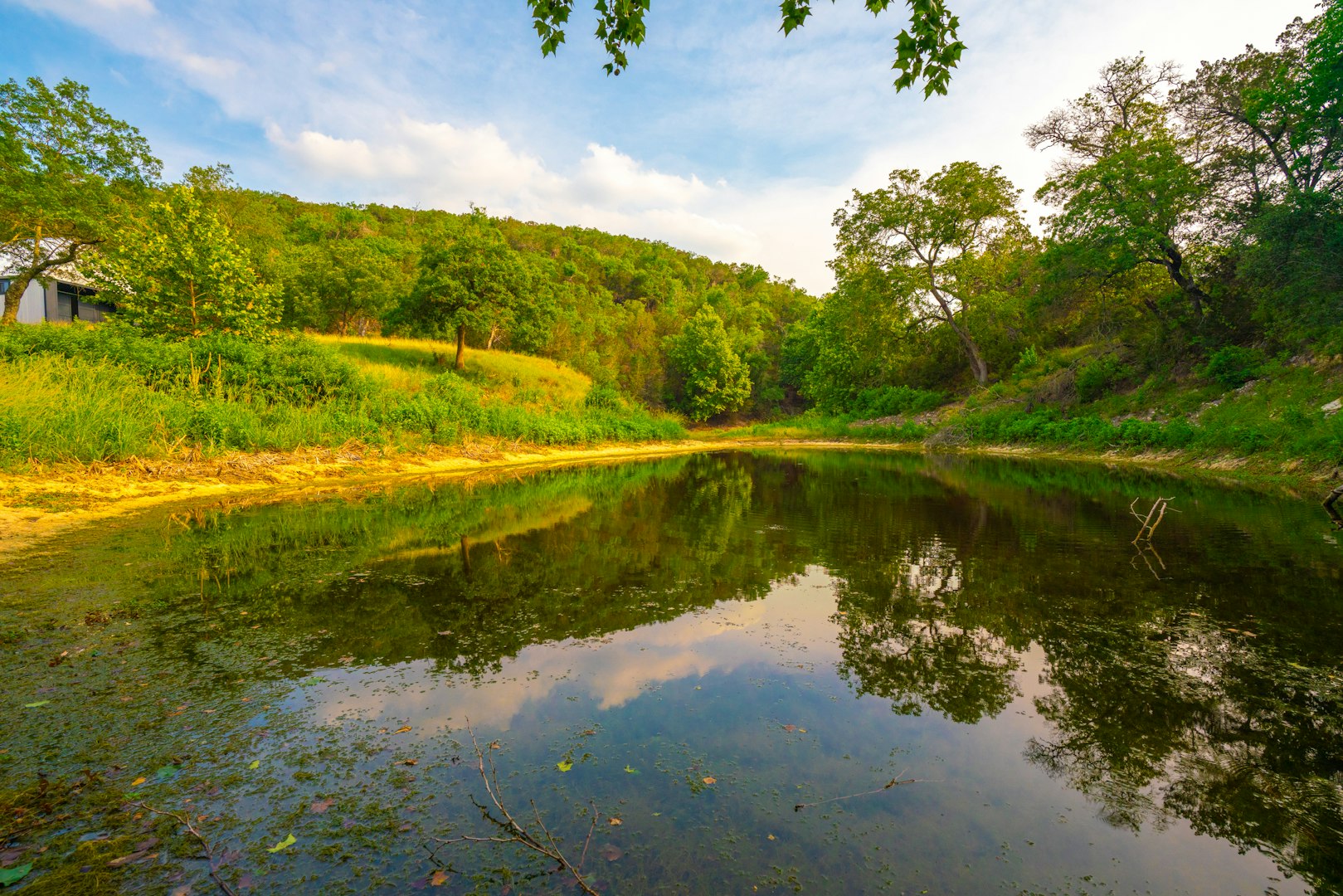 103 Bella Springs Boerne TX 78006