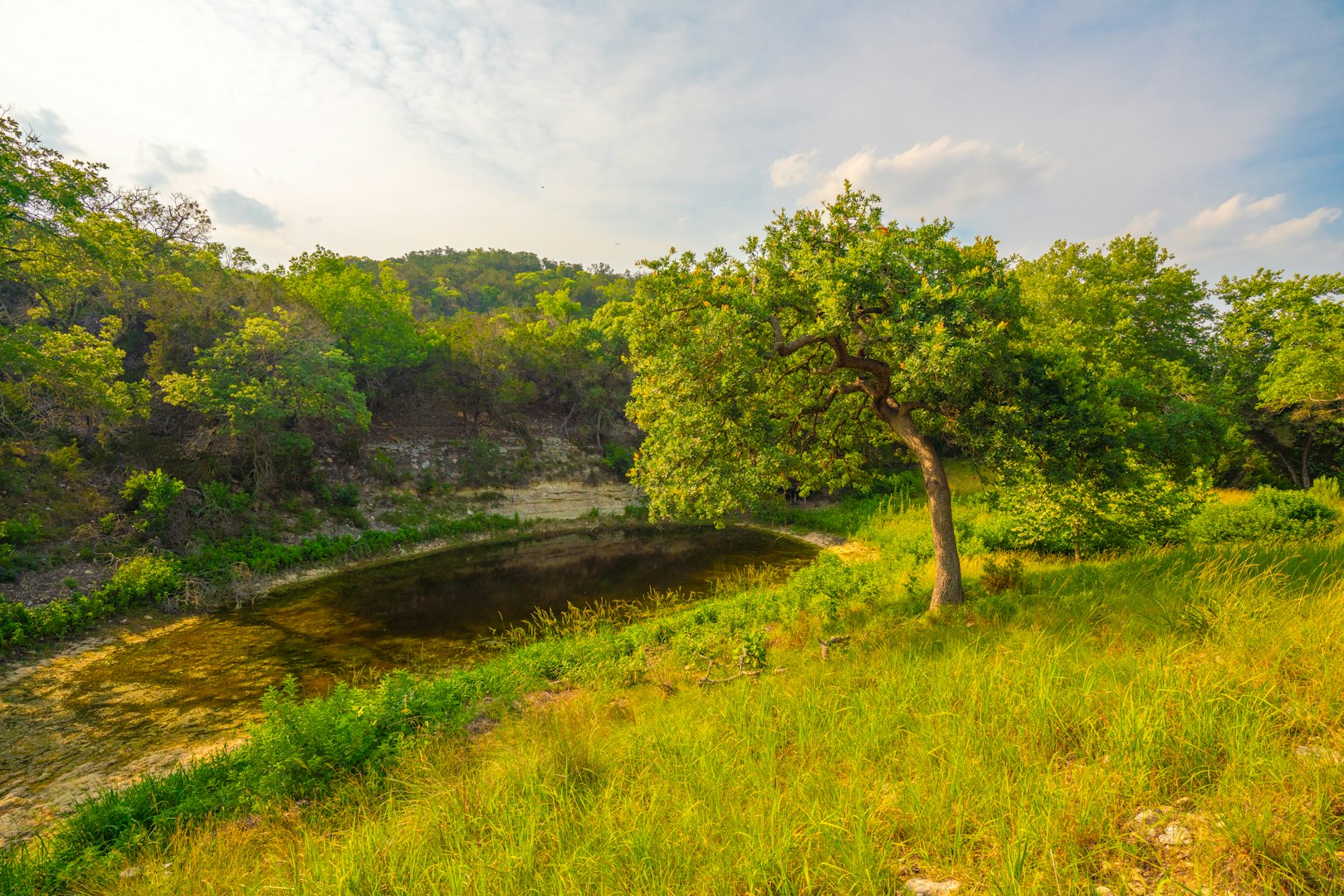 103 Bella Springs Boerne TX 78006