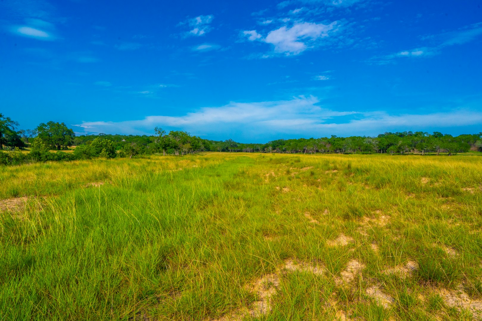 327 Waring Welfare Road Boerne TX 78006