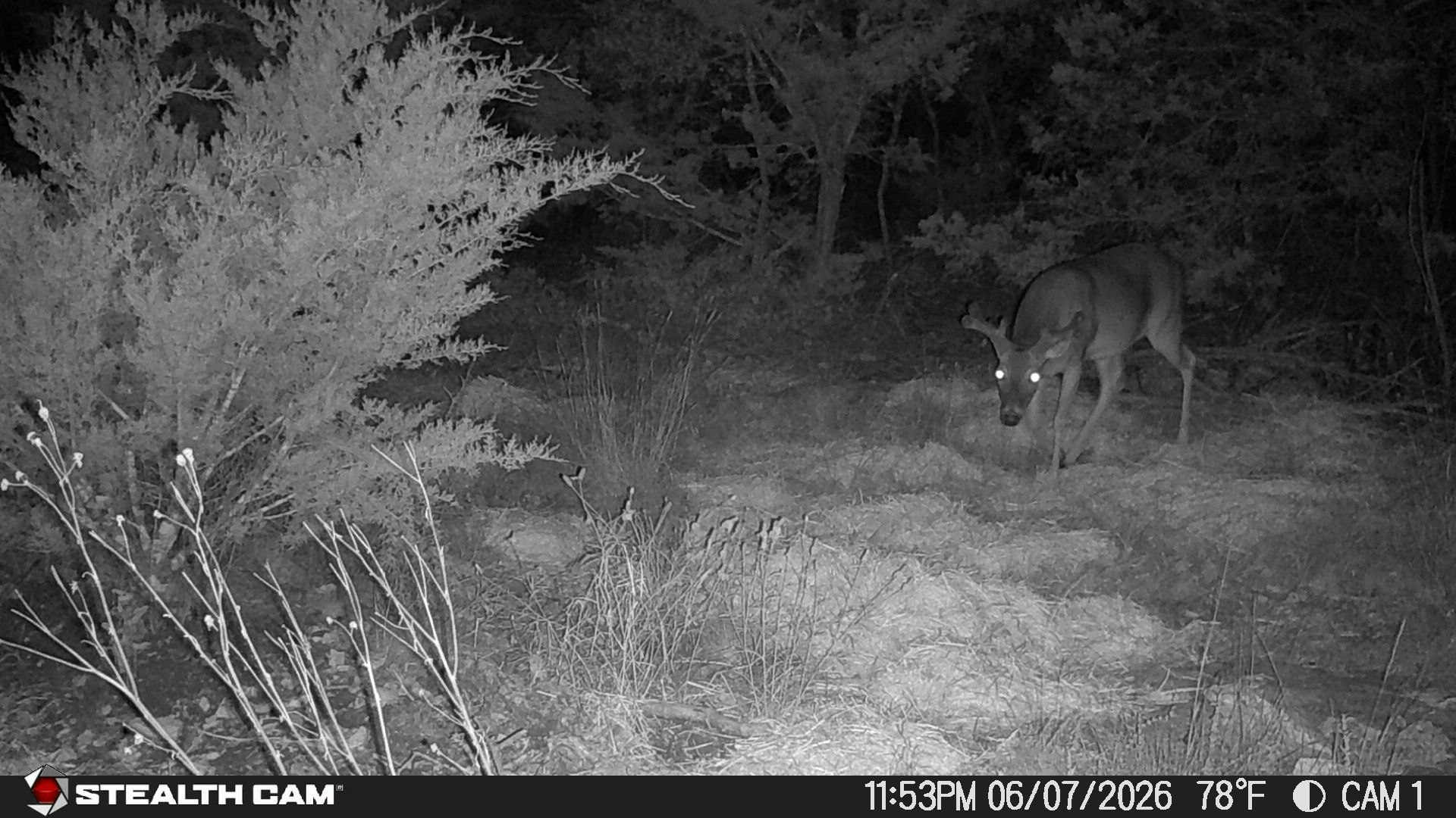 189 Campfire Trail West Hunt TX 78024
