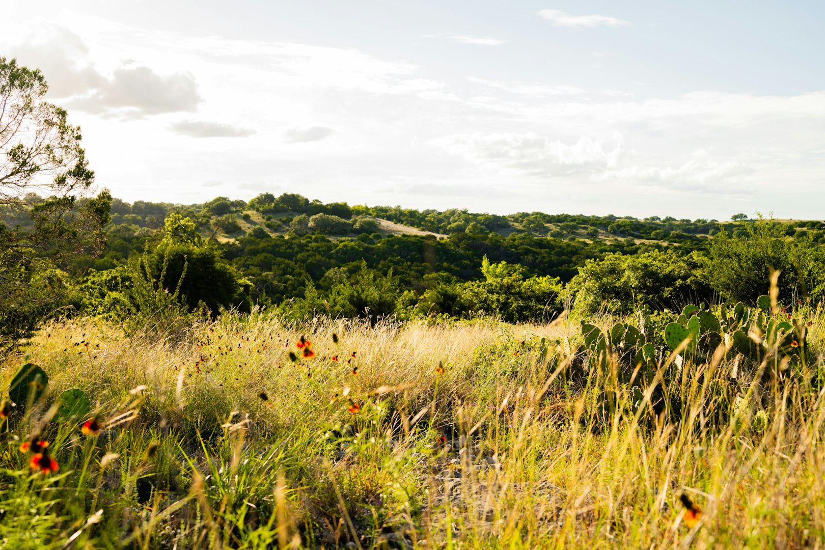 189 Campfire Trail West Hunt TX 78024