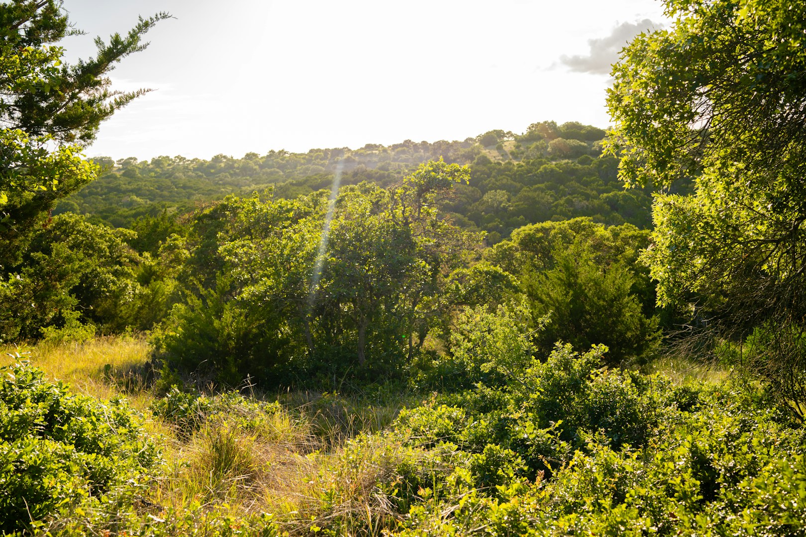 189 Campfire Trail West Hunt TX 78024