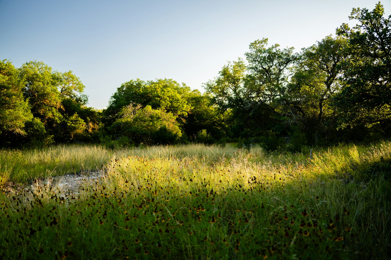 189 Campfire Trail West Hunt TX 78024