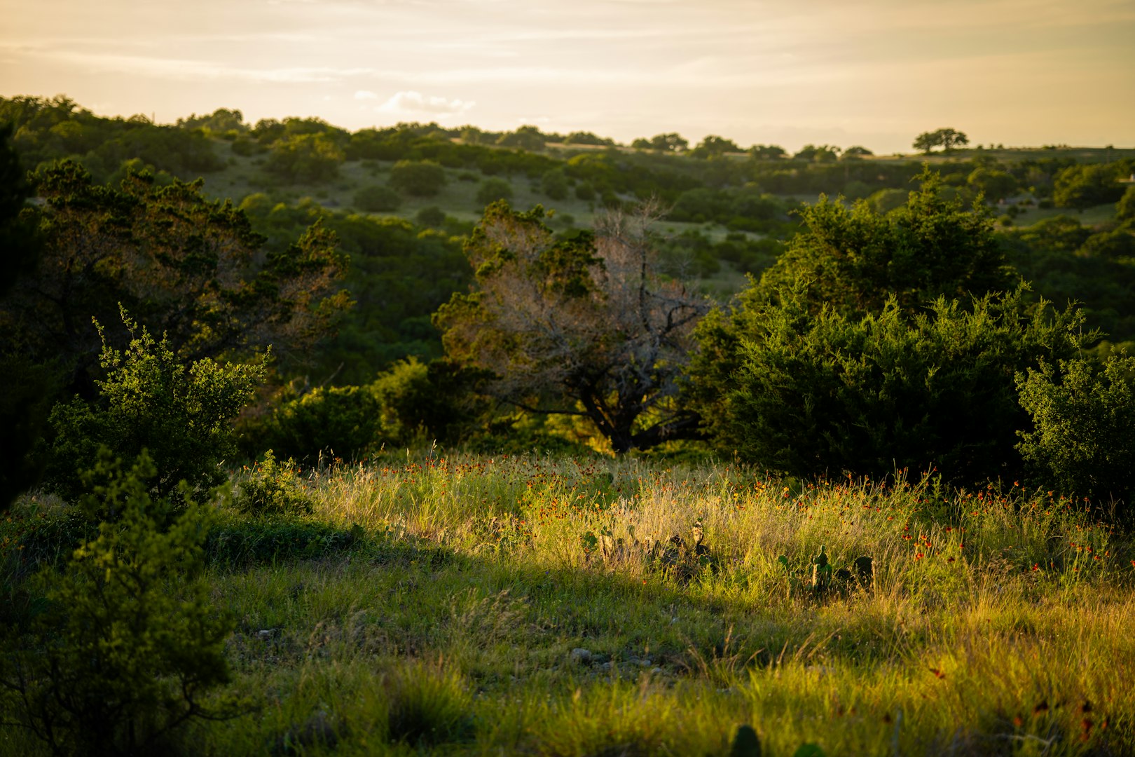189 Campfire Trail West Hunt TX 78024
